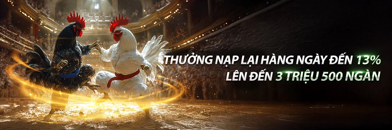Trangbet88 Blog - Nền tảng cá cược trực tuyến hàng đầu